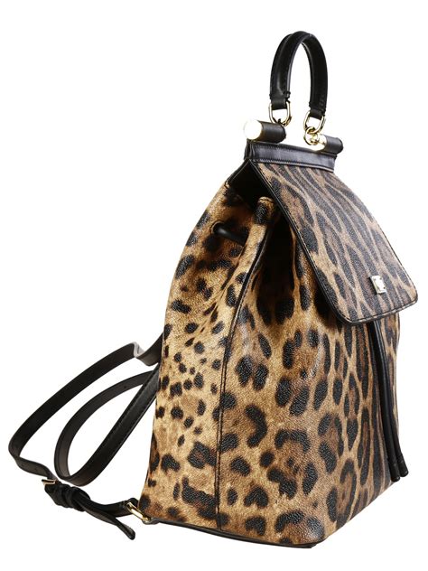 dolce gabbana animal backpack|dolce and gabbana handbags prices.